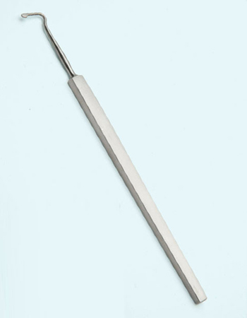 Hook Alexanda Muscle