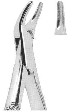 Extracting Forceps American pattern 