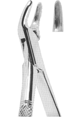 Extracting Forceps American pattern 