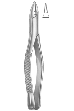 Extracting Forceps American pattern 