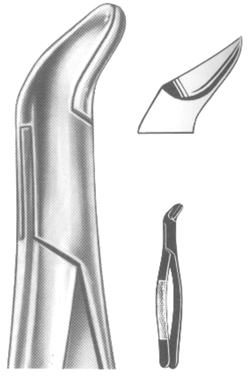 Extracting Forceps American pattern 