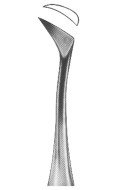 Root Elvators 