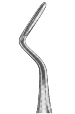 Root Elvators 