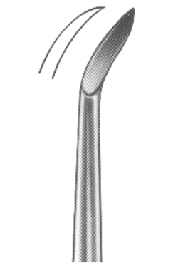 Root Elvators