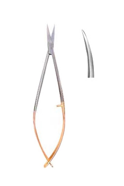 Spring Scissor