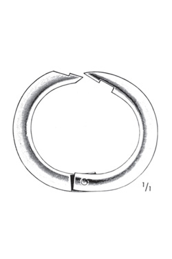Nose Rings