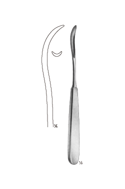 Koenig